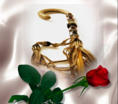 Imagen de complemento